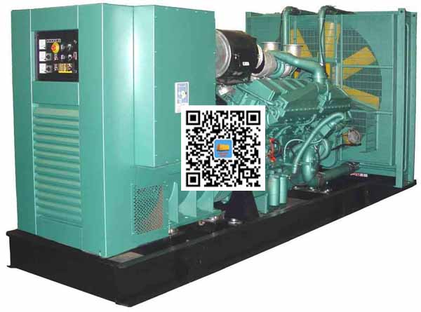 恩阳笼型异步发电机的电力电子控制技术