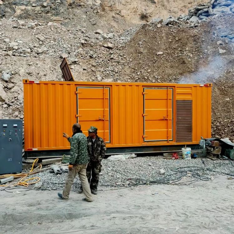 恩阳如何选择适合自己的 800KW 柴油发电机组？